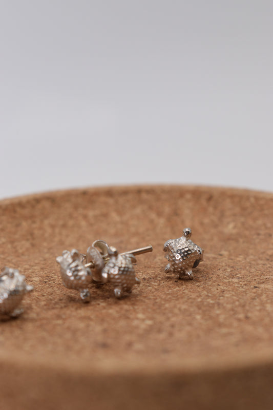 Tortuga Stud Earrings