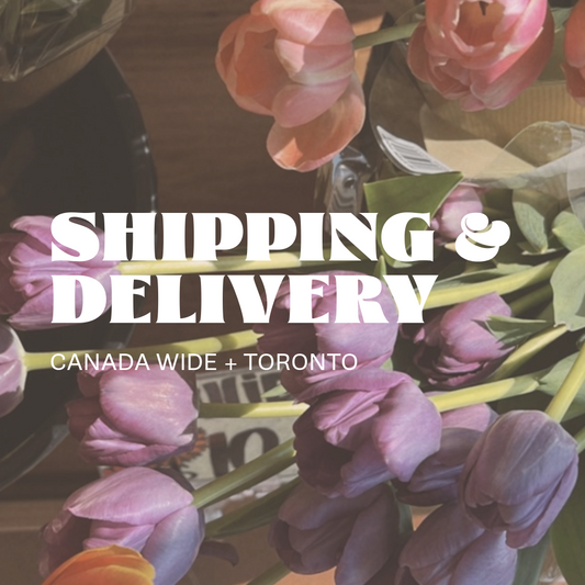 1. SHIPPING + DELIVERY